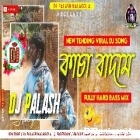 kacha Badam কাচা বাদাম New Tending Viral Song Fully Hard Mix By Dj Palash Nalagola 